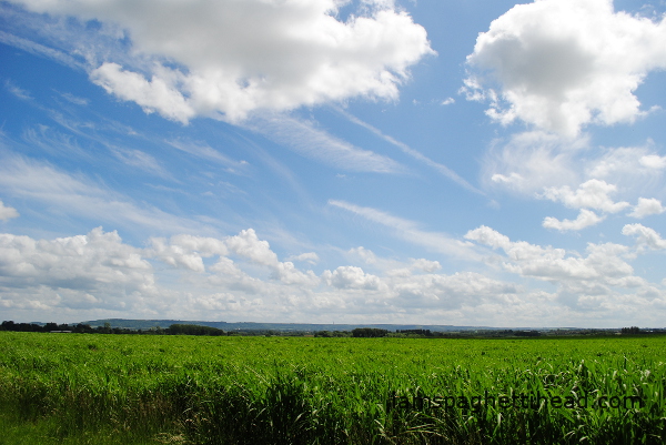 buckinghamshire summer